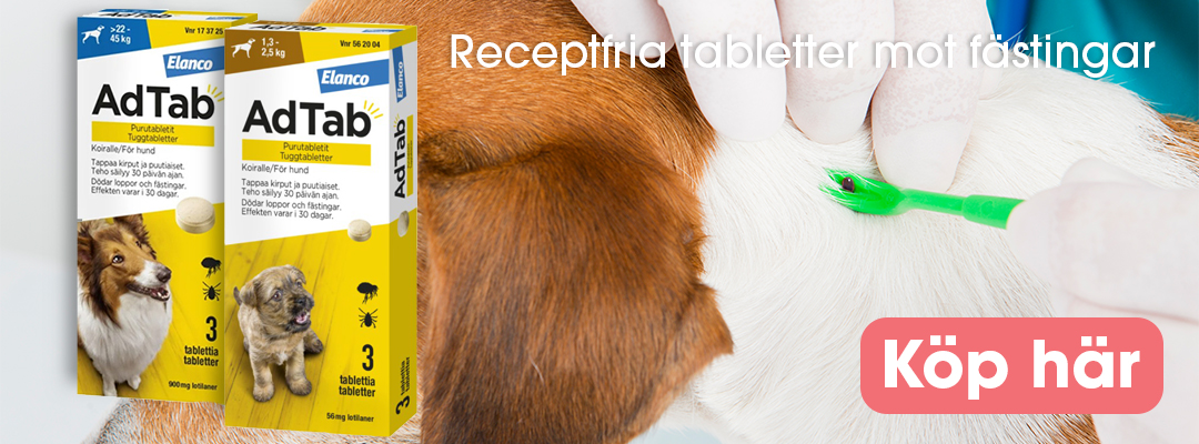 f&auml;sting p&aring; hund