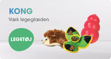 KONG