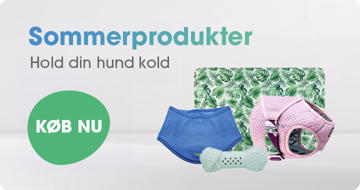Sommarprodukter