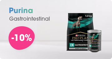 PPVd Gastro