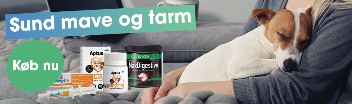 Mage och tarm produkter för hund