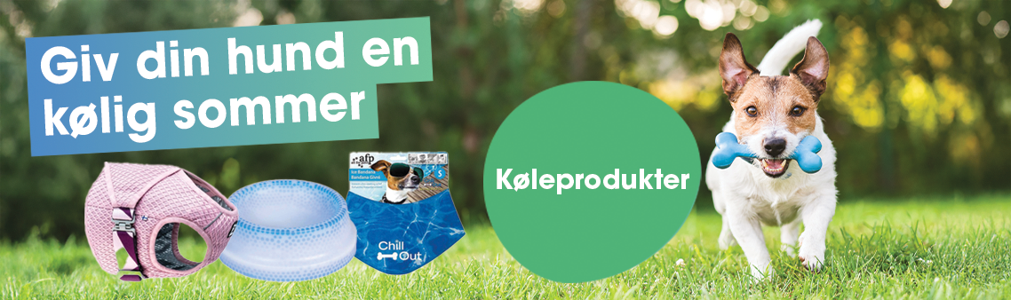 Kølende produkter til hund
