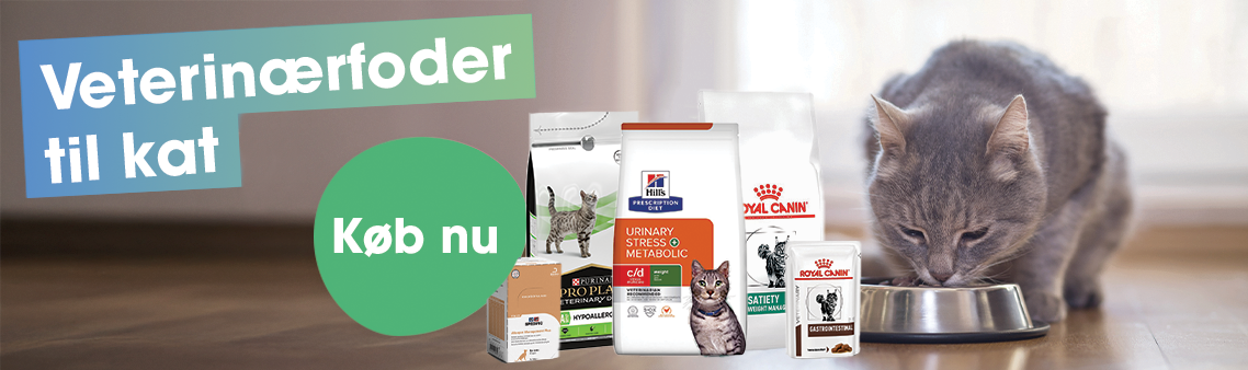 veterinaerfoder till kat